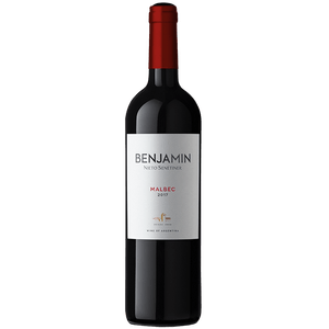 Vinho Benjamin Nieto Senetiner Malbec