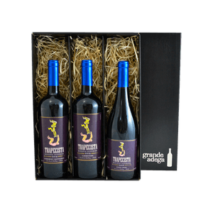 Kit Vinhos Chilenos