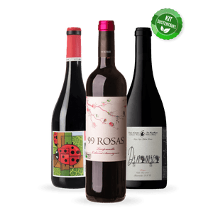 Kit Seleção de Vinhos Orgânicos