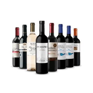 Kit 8 Vinhos Seleção Especial