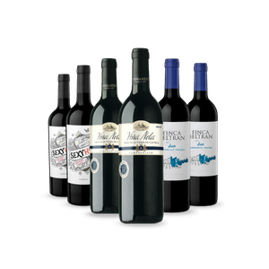 Kit 6 Vinhos Best Sellers em Dobro