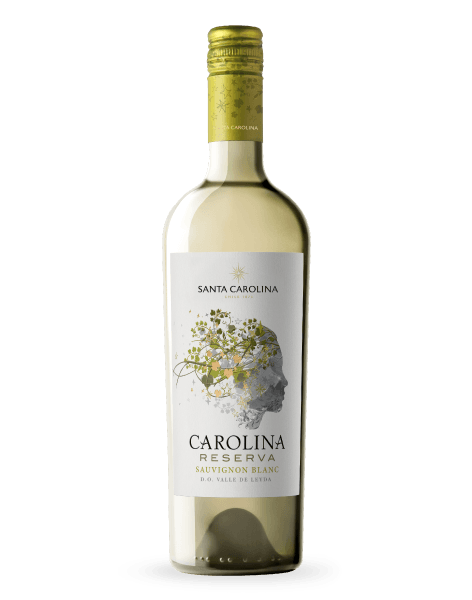 Vinho-Carolina-Reserva-Sauvignon-Blanc