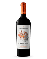 Vinho-Carolina-Reserva-Carmenere