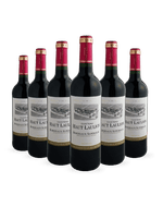 -Kit-6-Vinhos-Chateau-Haut-Laulion-Bordeaux-Superieur-AOP-Tinto