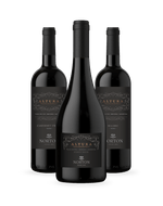 Kit-3-Vinhos-Norton-Altura