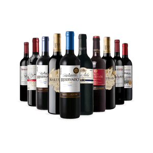 Kit 10 Vinhos Seleção Especial