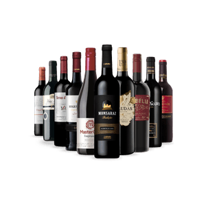 Kit 10 Vinhos Seleção Europeia