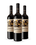 Kit-3-Vinhos-Ceppaiano-Violetta-IGT-Toscana