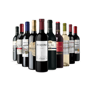 Kit 10 Vinhos Seleção Especial