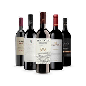 Kit Seleção Top 5 Vinhos Tintos