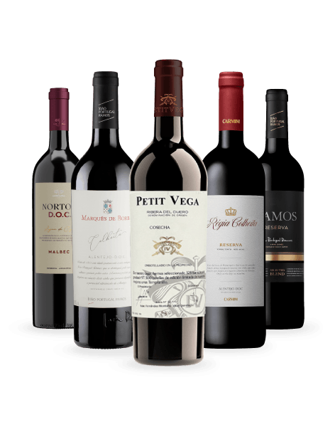 Kit-Selecao-Top-5-Vinhos-Tintos