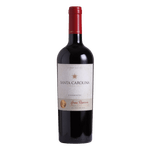 Vinho-Santa-Carolina-Gran-Reserva-Carmenere