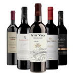 Kit-Selecao-Top-5-Vinhos-Tintos