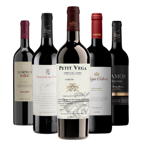 Kit Seleção Top 5 Vinhos Tintos