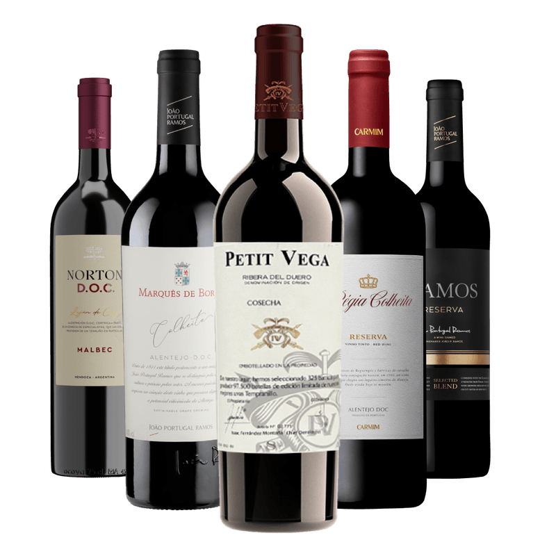 Kit-Selecao-Top-5-Vinhos-Tintos
