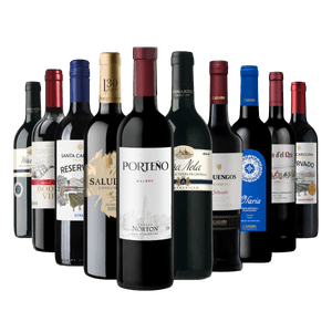 Kit 10 Vinhos Seleção Especial