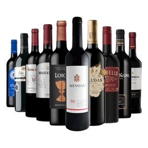 Kit 10 Vinhos Seleção Europeia