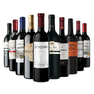 Kit 10 Vinhos Seleção Especial
