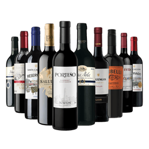 Kit 10 Vinhos Seleção Especial